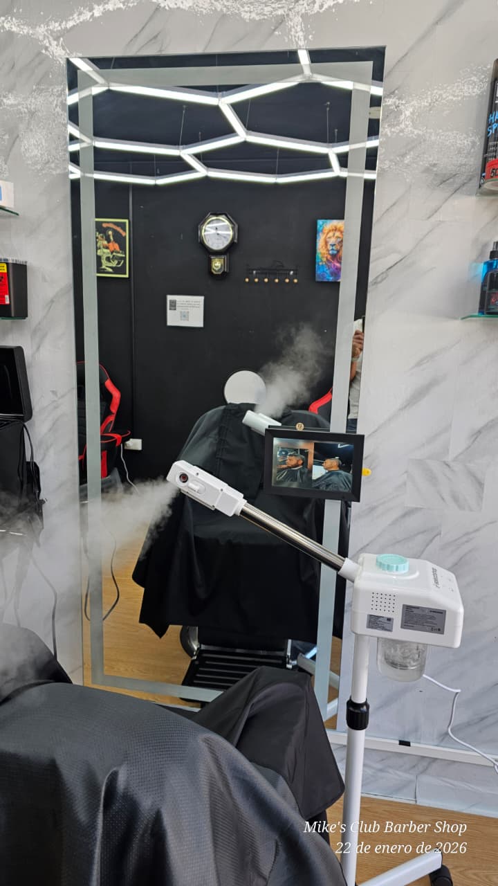 Tratamiento con vapor de ozono